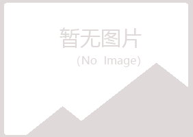 和平区盼夏机械有限公司